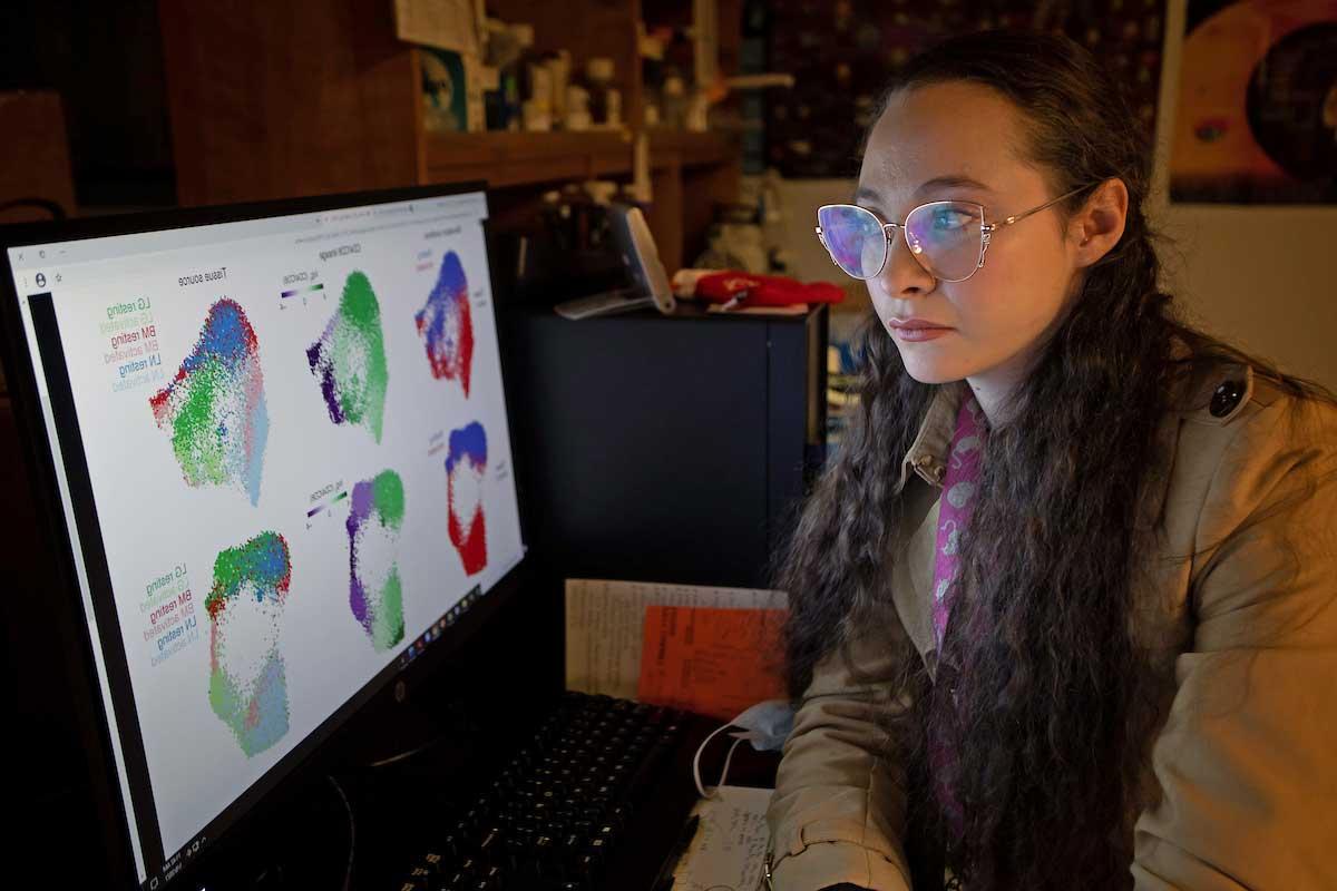 BMS学生Rachel Rodenburg在实验室里看着电脑上的研究